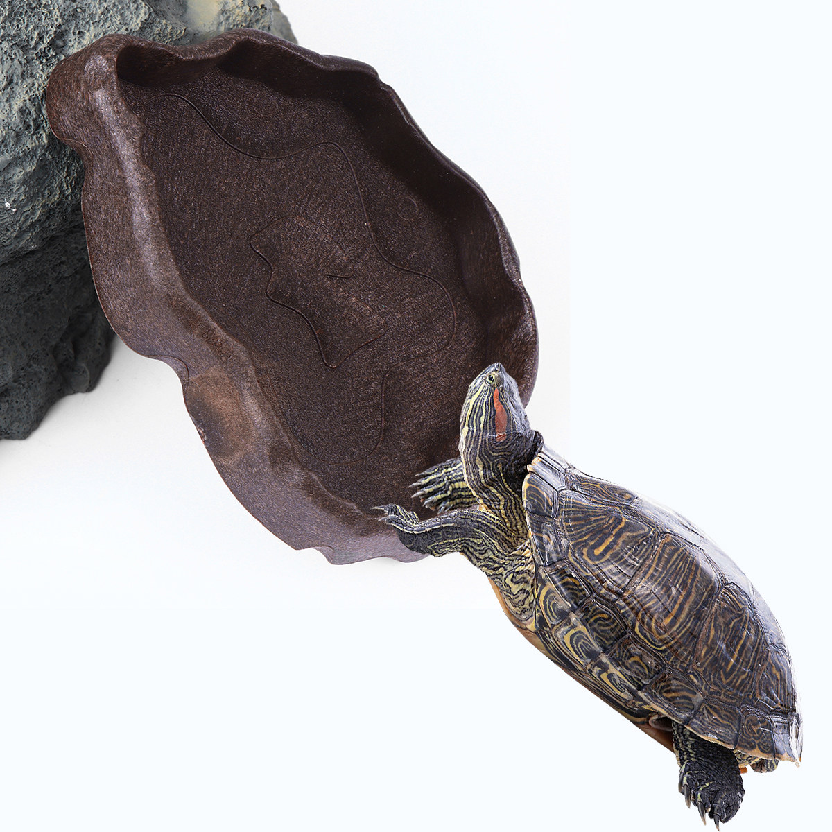 Water Dish Reptile - Prato de Resina para Répteis Tamanho