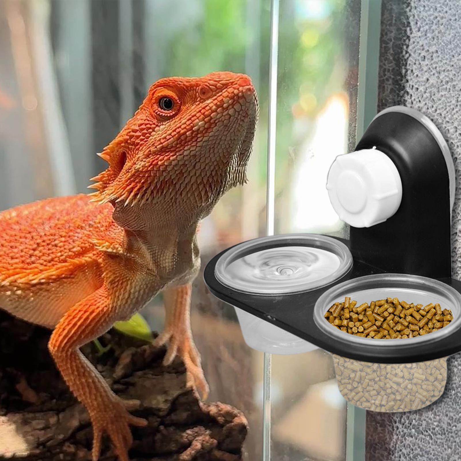 Water Dish Reptile - Prato de Comida para Gecko, Dispensador