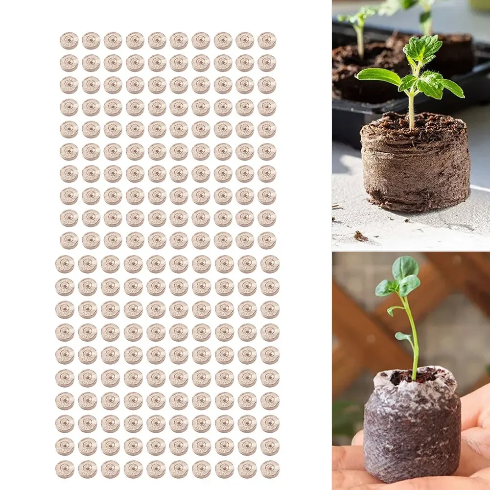 Substrate Coconut Fiber - 100 peças de pellets de fibra