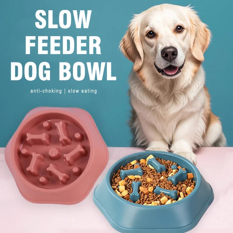Royal Canin Food Medium - 1 Tigela Comedouro Lento para Cães,