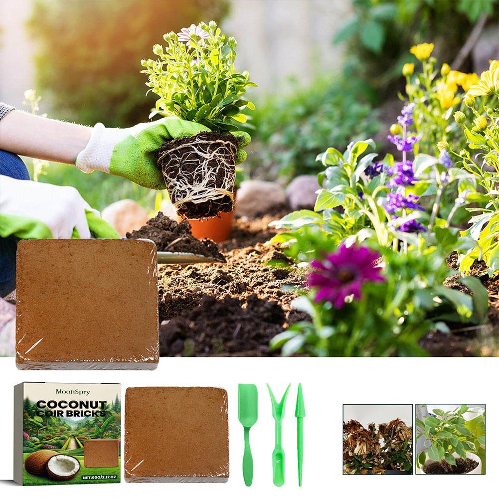 Reptile coco solo bobina press - Substrate Coconut Fiber avaliação e preço