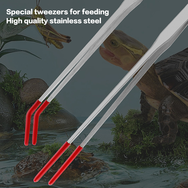 Ferramentas de Manutenção para - Feeding Tong Stainless avaliação e preço