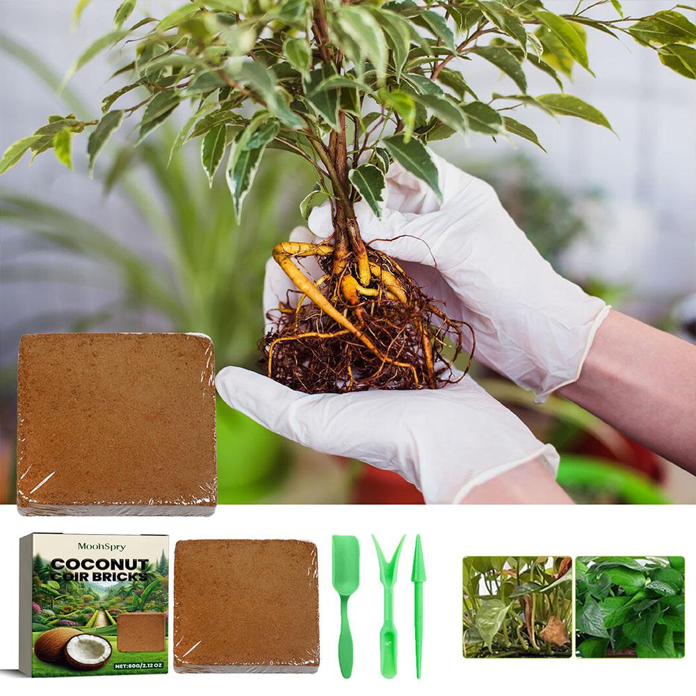 Tijolo de Fibra de Coco - Subs - Substrate Coconut Fiber avaliação e preço