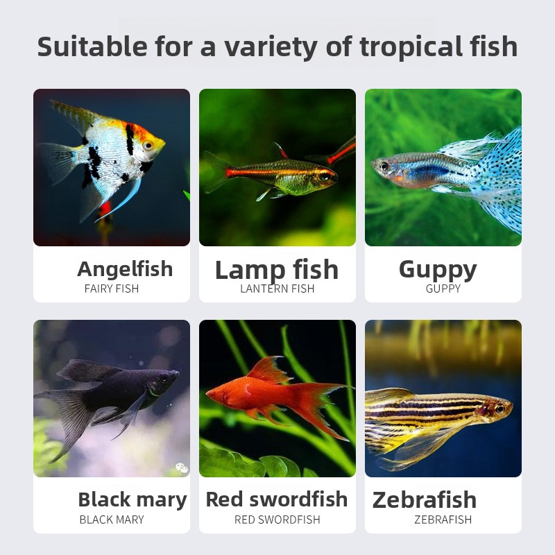 SUNSUN Premium Tropical Fish F - Tetra Food Tropical Flakes avaliação e preço