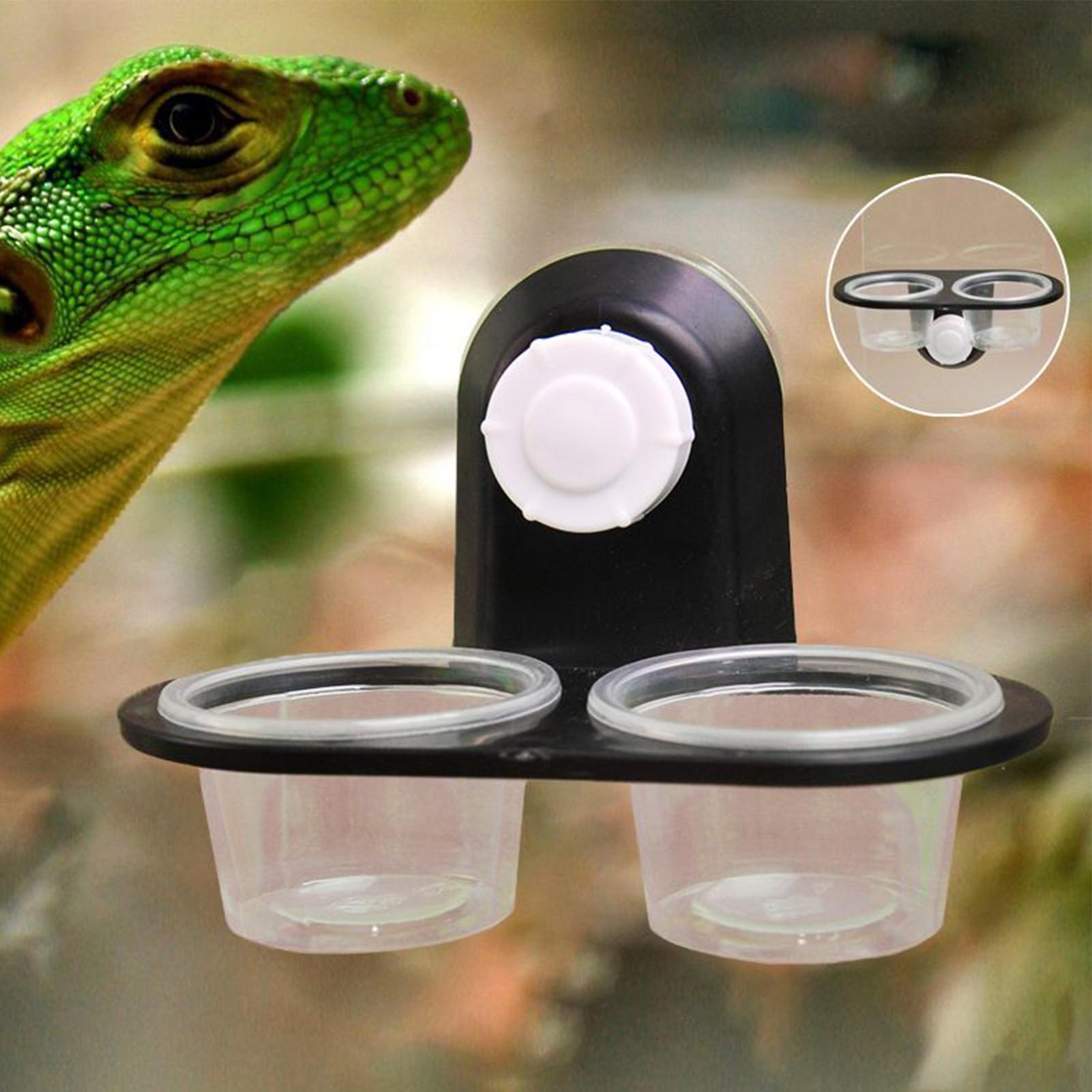 Prato de Comida para Gecko, Di - Water Dish Reptile avaliação e preço