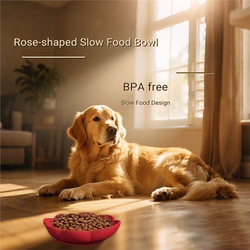 A11E - Tigela de Silicone para - Royal Canin Food Medium avaliação e preço