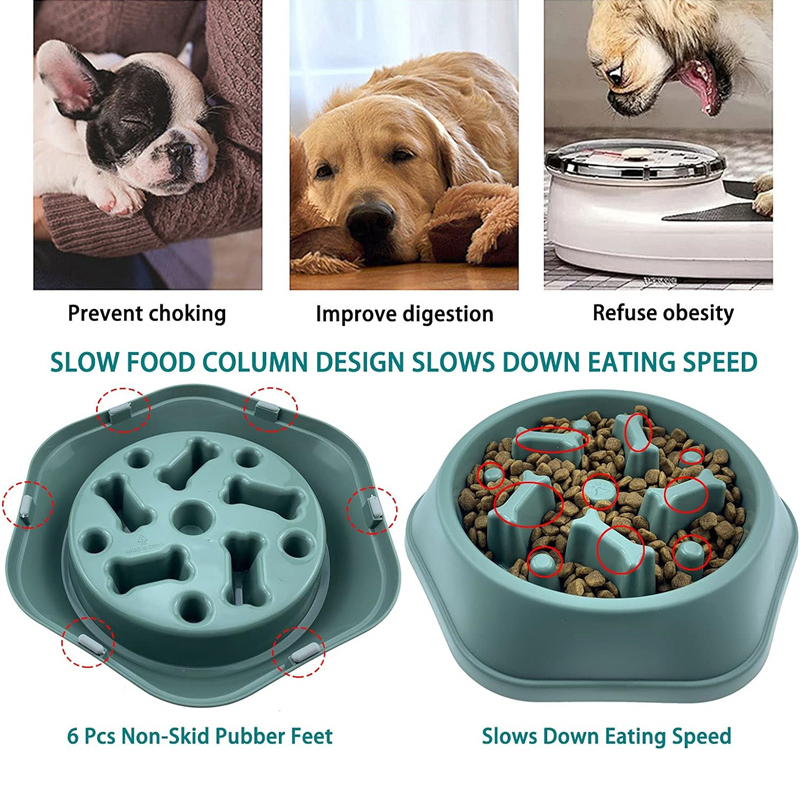 Alimentador lento para cães, t - Royal Canin Food Medium avaliação e preço