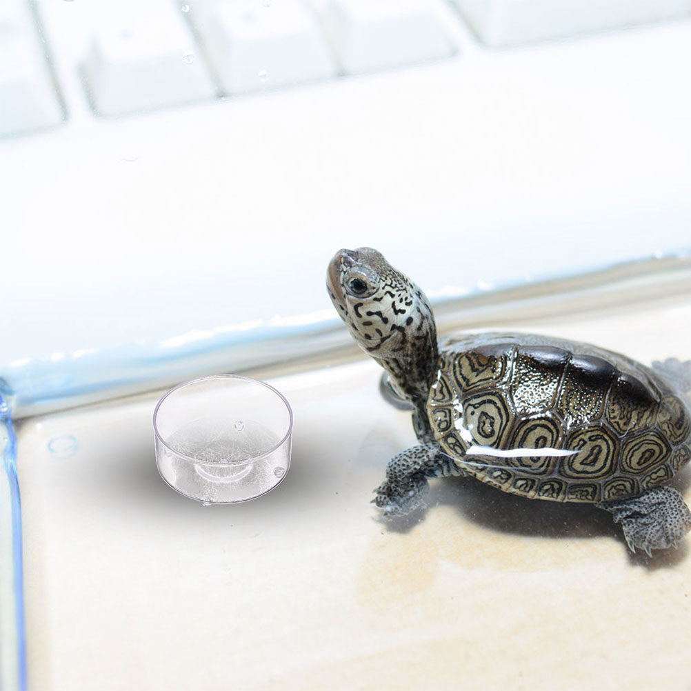 10 Peças Tigela de Alimentação - Water Dish Reptile avaliação e preço