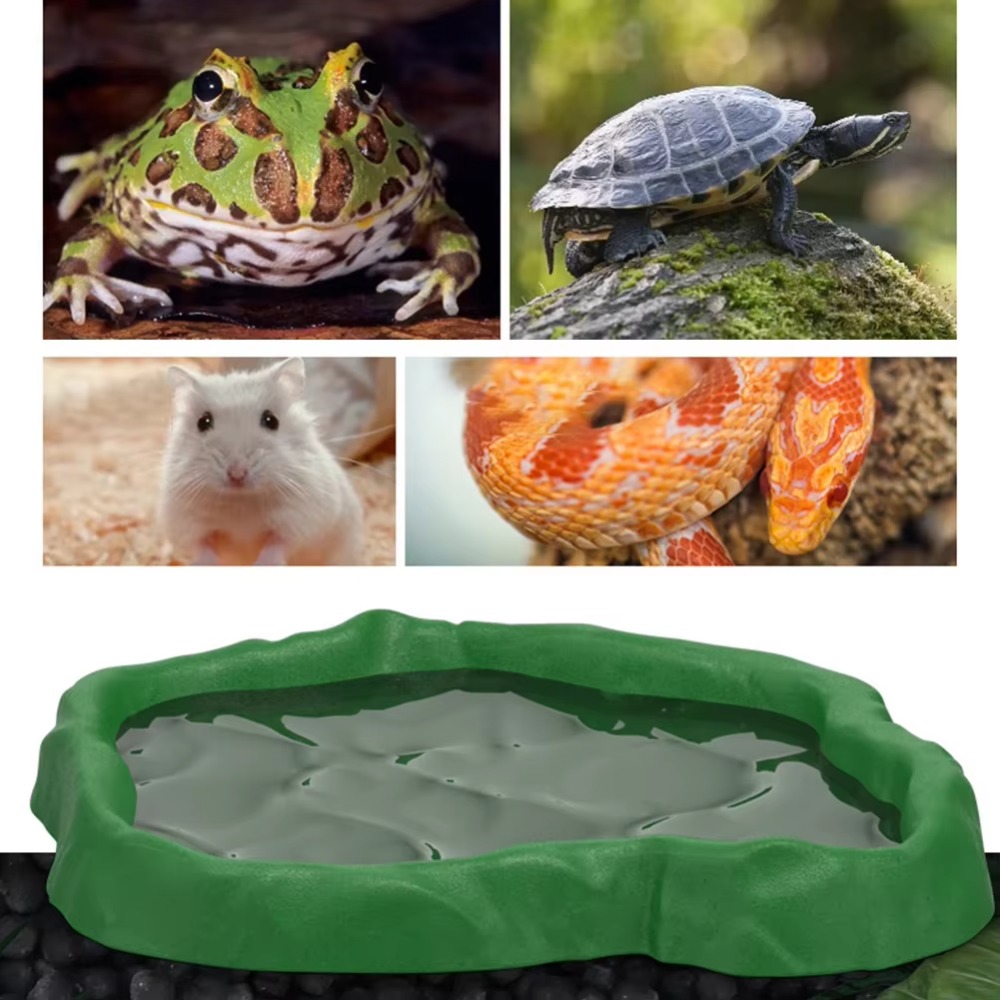 Tigela de alimentação para rép - Water Dish Reptile avaliação e preço