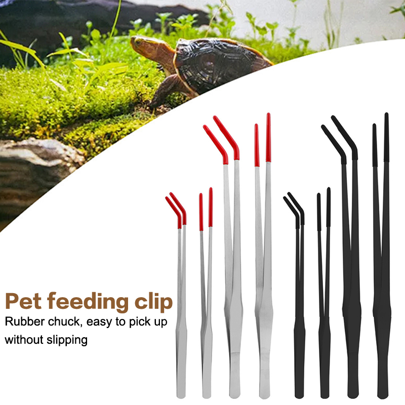 Pinça de alimentação para répt - Feeding Tong Stainless avaliação e preço