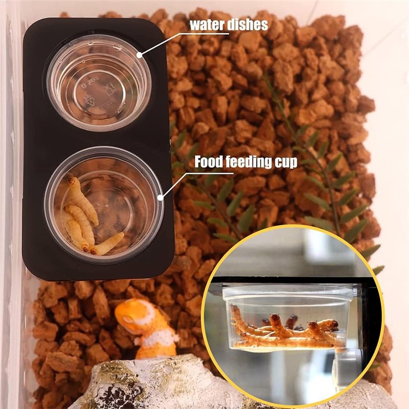 Copos de alimentação e água pa - Water Dish Reptile avaliação e preço